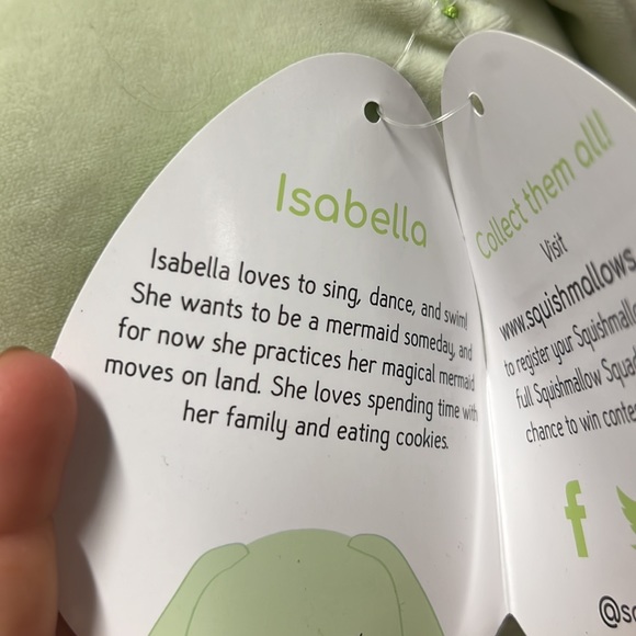 10” Mint Green Isabella Squishmallow - Picture 4 of 4